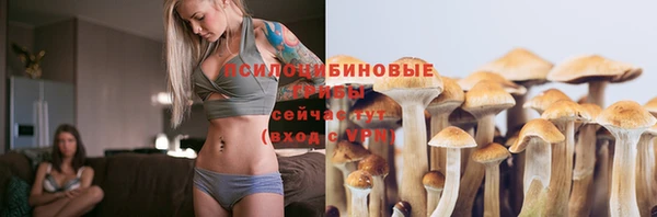 эйфоретик Баксан