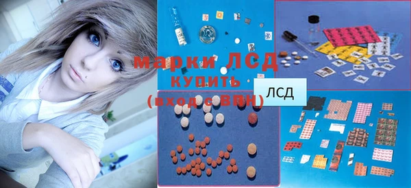 эйфоретик Баксан