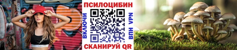 Галлюциногенные грибы мицелий  закладки  Нефтекумск 